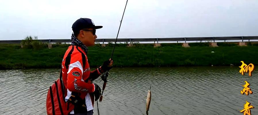 洞庭湖钓鱼技巧有哪些？如何提高钓鱼成功率？  第1张
