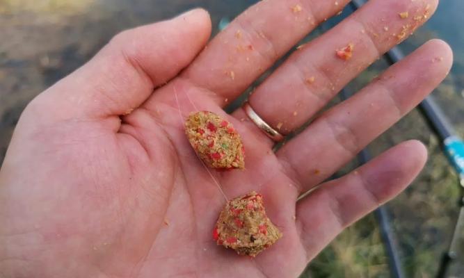洞中钓鱼的技巧是什么？如何提高洞穴钓鱼的成功率？  第2张