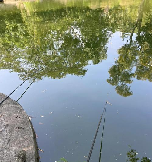 洞中钓鱼技巧口诀是什么？如何有效提高洞中钓鱼成功率？  第2张