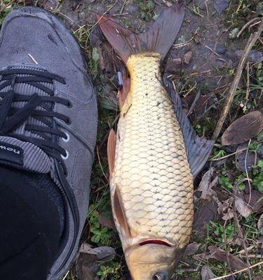 抖腕钓鱼提竿技巧是什么？如何正确掌握提竿时机？  第2张