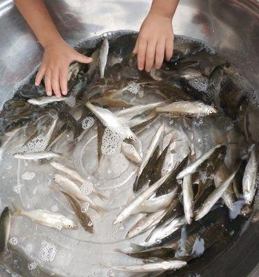 斗腕钓鱼技巧教程？如何快速掌握钓鱼技巧？  第2张