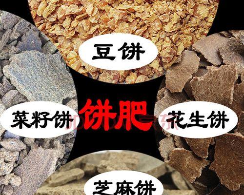 豆饼钓鱼打窝方法和技巧是什么？如何有效提高钓鱼成功率？  第3张