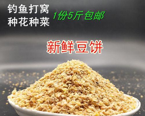 豆饼钓鱼技巧教程？如何提高钓鱼成功率？  第1张