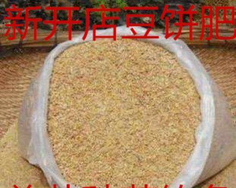 豆饼钓鱼技巧教程？如何提高钓鱼成功率？  第3张