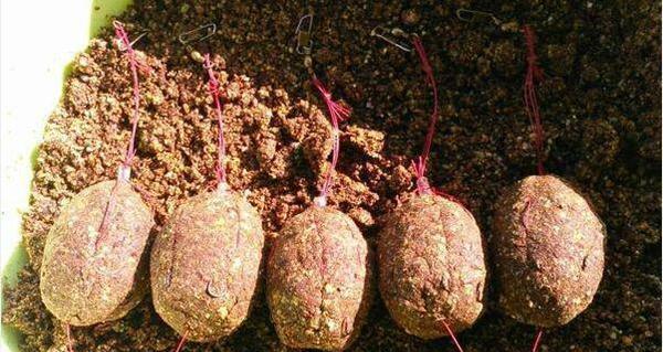 豆饼钩钓鱼技巧有哪些？如何提高使用豆饼钩的钓鱼效率？  第2张
