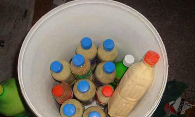 豆腐鸡蛋钓鱼技巧有哪些？如何提高钓鱼成功率？  第1张