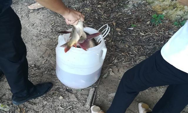 豆腐鸡蛋钓鱼技巧有哪些？如何提高钓鱼成功率？  第3张