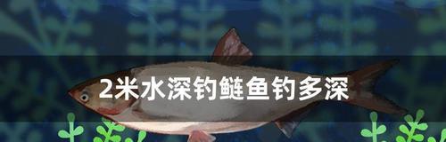 豆腐渣钓鱼绝密技巧是什么？如何提高钓鱼成功率？  第3张