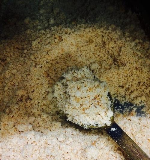 豆渣钓鱼效果好吗？如何使用豆渣作为鱼饵？  第1张