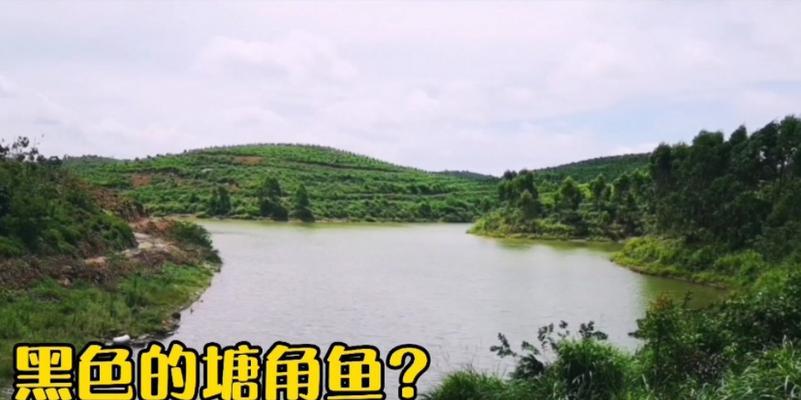 赌竿塘钓鱼技巧有哪些？如何提高钓鱼成功率？  第1张