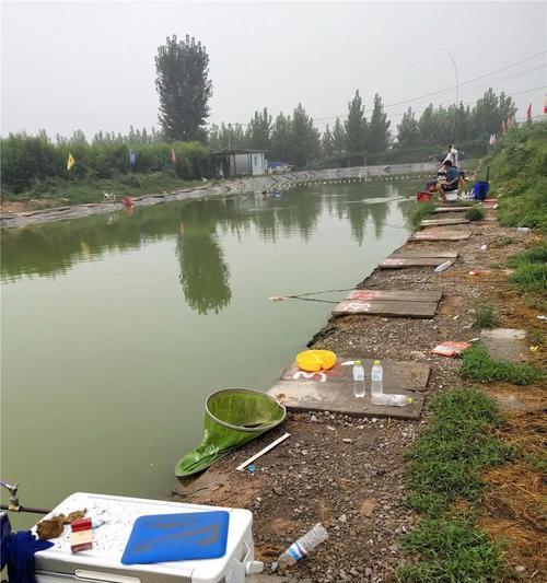 端午节黑坑钓鱼技巧有哪些？如何提高钓获率？  第2张