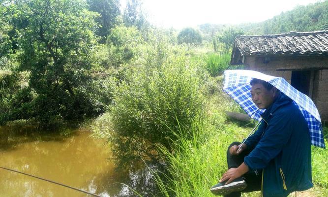 端午节野河钓鱼技巧是什么？如何提高钓鱼成功率？  第2张