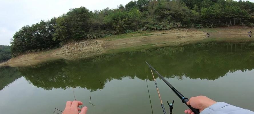 短竿钓小鱼如何正确调浮漂？掌握哪些技巧能提高钓获率？  第1张