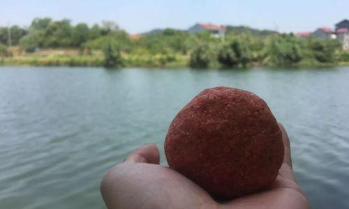 短竿蚯蚓钓鱼技巧有哪些？如何提高钓鱼成功率？  第2张