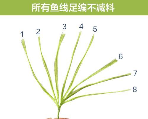短子线钓鱼技巧说明？如何提高短子线钓鱼的成功率？  第1张