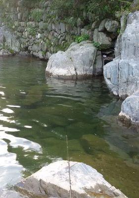 如何掌握蹲点钓鱼的技巧？蹲点钓鱼有哪些常见问题及解决方法？  第2张