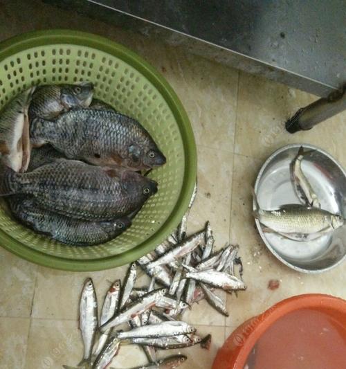 如何掌握蹲点钓鱼的技巧？有哪些有效的方法？  第2张