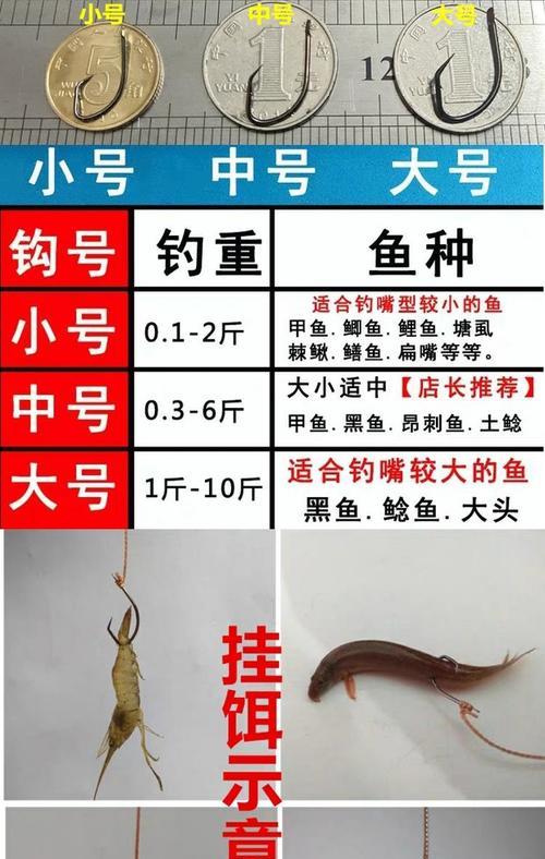 海竿串钩水库钓鱼技巧有哪些？如何提高钓鱼成功率？  第3张