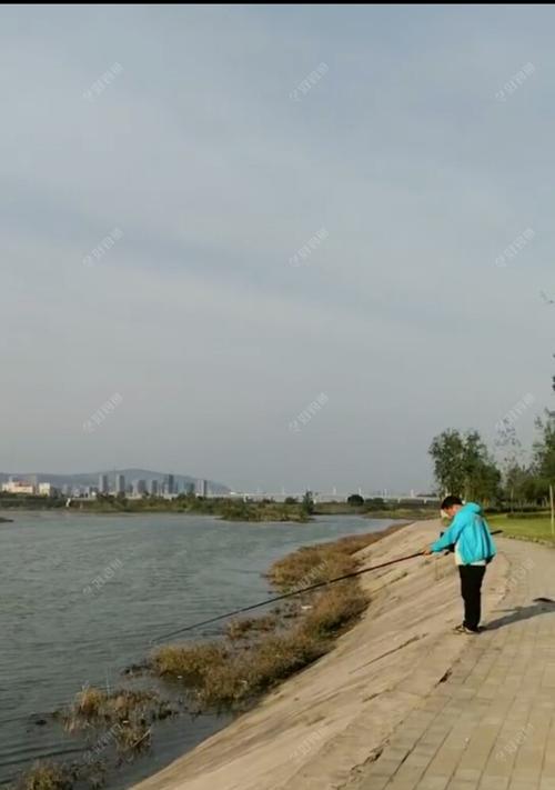 海竿串钩野钓鲤鱼技巧教程？如何提高钓鲤鱼成功率？  第2张