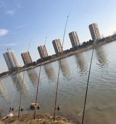 海竿垂钓青鱼技巧有哪些？如何提高钓获率？  第3张
