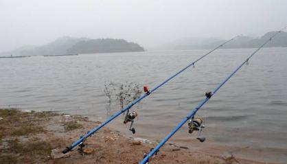 海竿大浮漂钓草鱼方法和技巧是什么？如何提高钓草鱼的成功率？  第2张