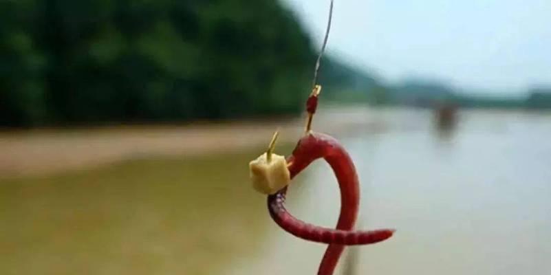海竿钓鲫鱼时如何选择合适的鱼钩？有哪些技巧需要注意？  第2张