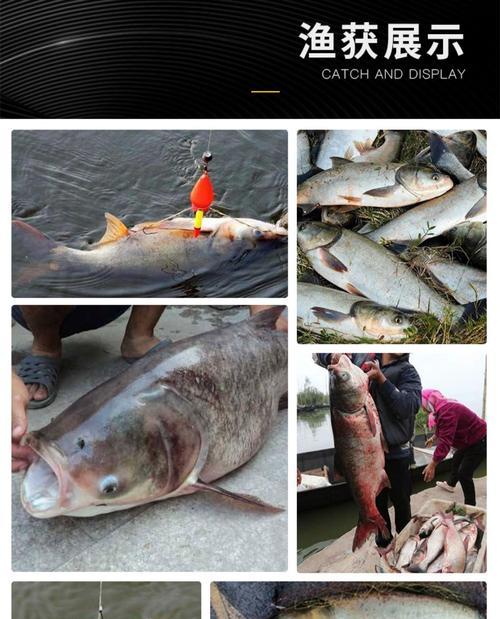海竿钓鲢鳙底浮技巧和方法是什么？如何提高钓鲢鳙的效率？  第3张