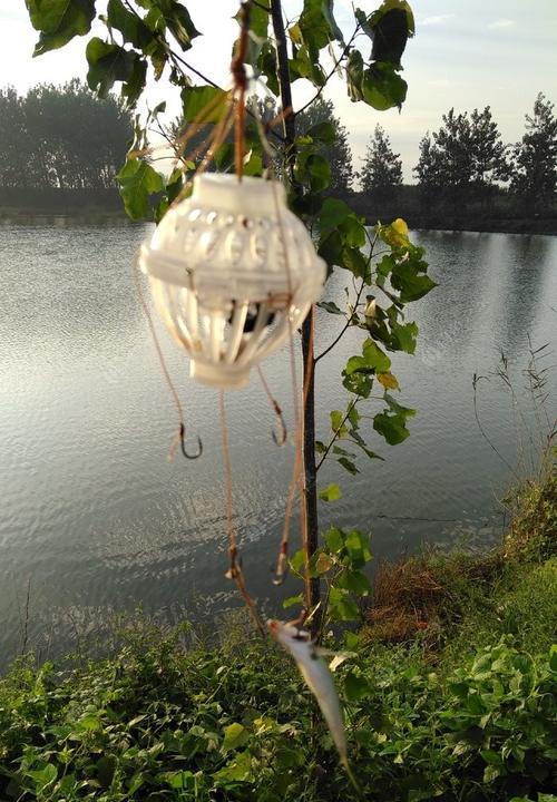 海竿钓鲢鳙底浮技巧和方法是什么？如何提高钓鲢鳙的效率？  第2张