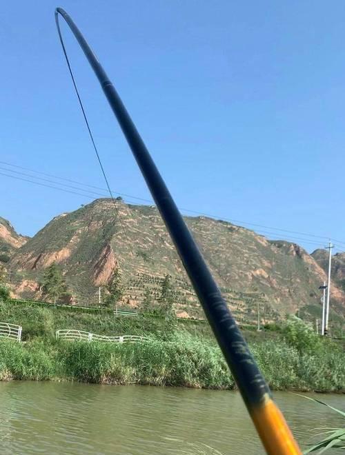 海竿钓野生黄辣丁技巧有哪些？如何提高钓获率？  第2张