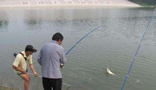 海竿钓鱼的技巧和方法是什么？如何提高钓鱼效率？  第2张