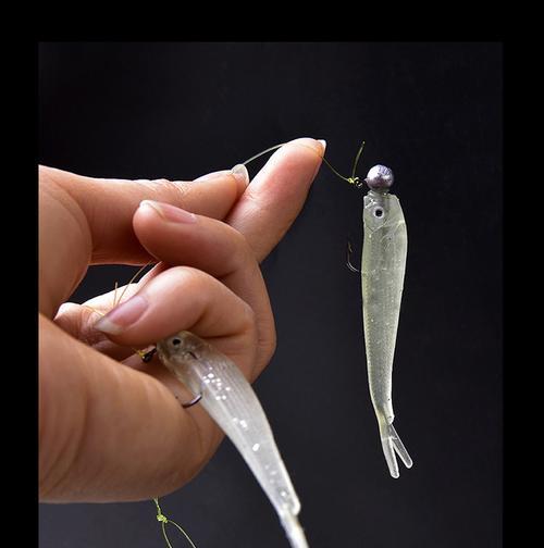 海竿钓鱼钓翘嘴技巧有哪些？如何提高钓翘嘴的成功率？  第2张