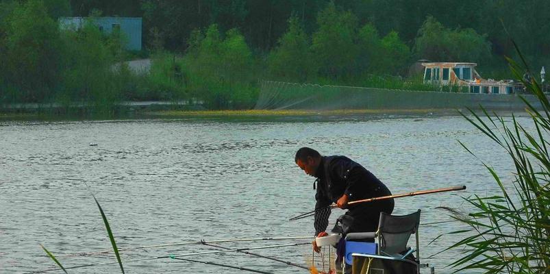 海竿钓鱼技巧实战有哪些？如何提高海竿钓鱼的成功率？  第2张