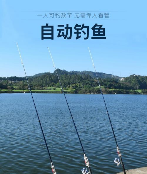 海竿钓鲫鱼技巧有哪些？如何提高钓鲫鱼的成功率？  第1张
