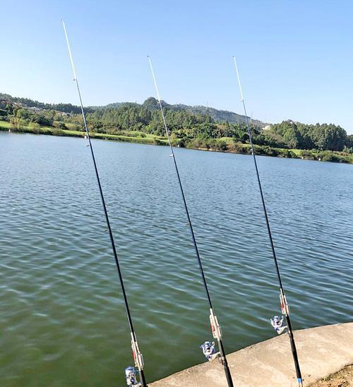 海竿钓鱼技巧用几号钩？如何根据鱼种选择合适的钩号？  第1张