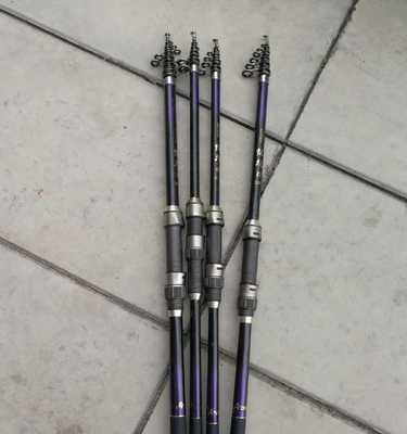 海竿钓鱼怎样抄鱼的技巧？掌握这些技巧轻松上鱼！  第2张