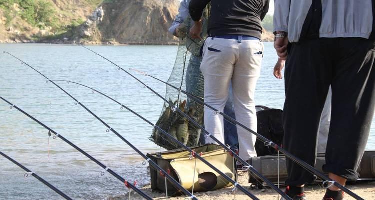 冬季使用海竿垂钓鲢鳙有哪些技巧？如何提高冬季垂钓鲢鳙的成功率？  第1张