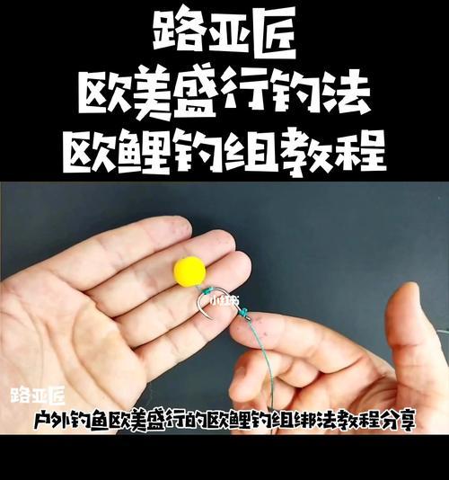海竿浮钓钓红眼鱼的技巧和方法教程？如何提高钓红眼鱼的成功率？  第3张