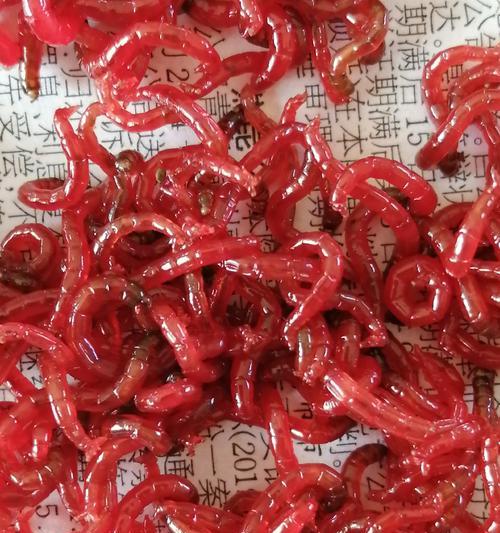 海竿挂红虫钓鱼技巧有哪些？如何提高钓鱼成功率？  第2张