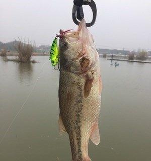 海竿河道野钓串钩钓鱼技巧有哪些？如何提高钓鱼效率？  第1张