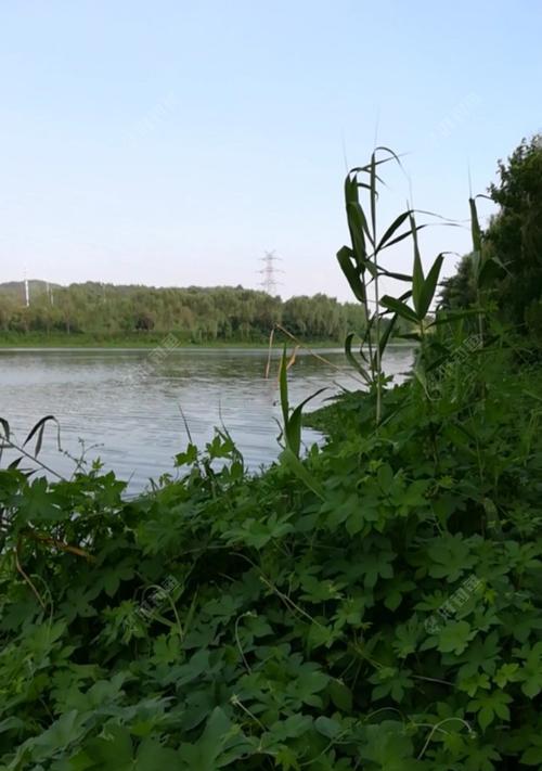 海竿湖边钓鱼技巧有哪些？如何提高钓鱼成功率？  第2张