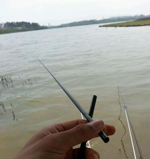 海竿湖边钓鱼技巧有哪些？如何提高钓鱼成功率？  第3张