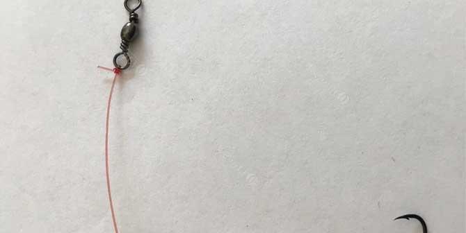 海竿鸡肝钓鱼技巧是什么？如何提高钓鱼成功率？  第1张
