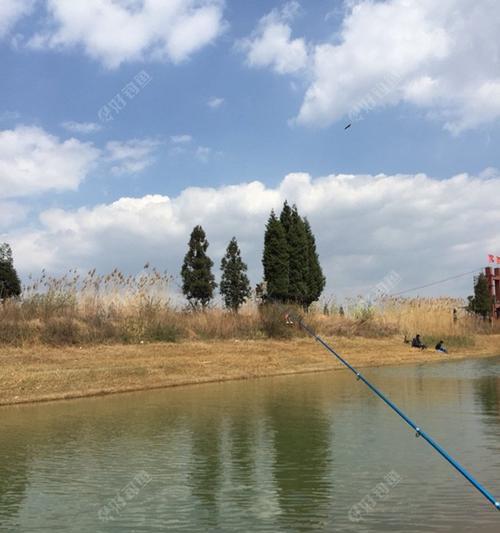 海竿胖头钓鱼技巧是什么？如何提高钓获率？  第2张