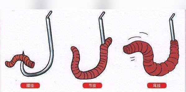 海竿配单钩钓鱼技巧是什么？如何提高钓鱼成功率？  第2张