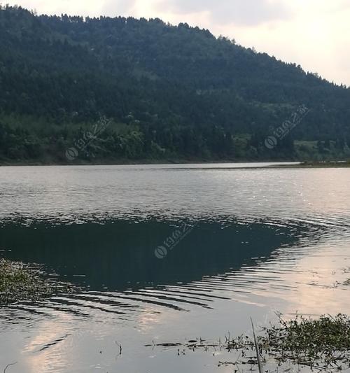 海竿水库钓鱼打窝技巧是什么？如何正确打窝提高钓鱼成功率？  第2张