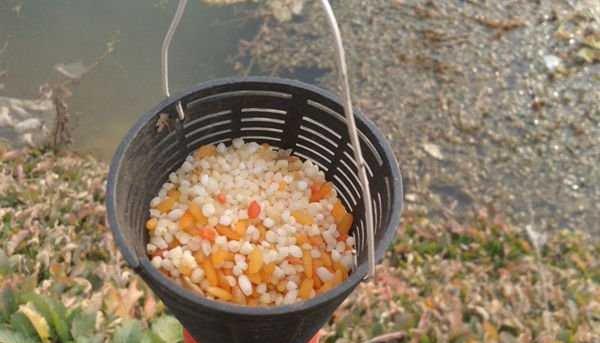 海竿水塘钓鱼技巧有哪些？如何提高钓鱼成功率？  第3张
