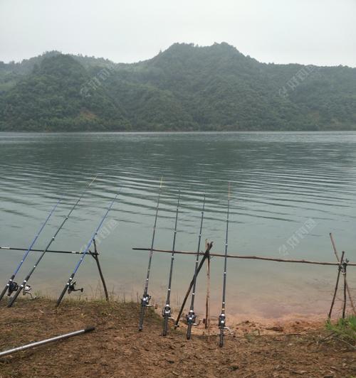 海竿偷钓鱼技巧有哪些？如何提高偷钓成功率？  第3张