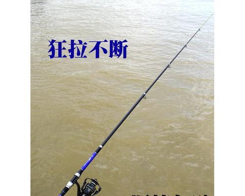 海竿养殖塘钓鱼技巧有哪些？如何提高钓鱼成功率？  第2张
