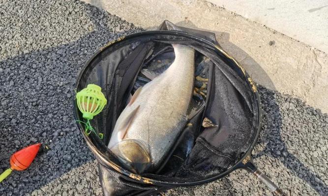 海竿野钓技巧经验有哪些？如何提升钓鱼效率？  第2张