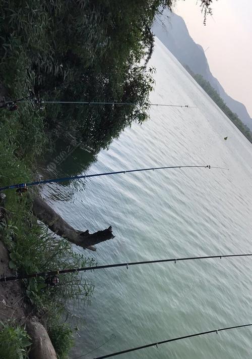 海竿野钓巨鲶鱼技巧有哪些？如何提高钓获巨鲶鱼的成功率？  第1张